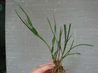 对老公失望看透的句子