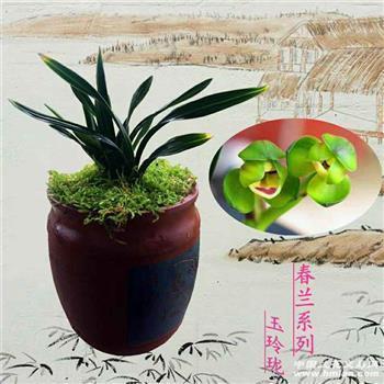 再见四月,你好五月的心情说说句子(精选16句)