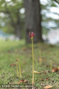 谷雨发朋友圈超火句子汇编70句