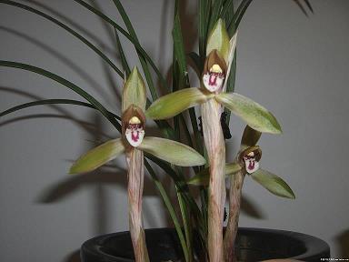 在路上励志句子(精选30句)