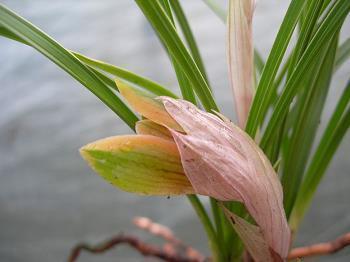 干净短句文案 简单干净的文案推荐77句