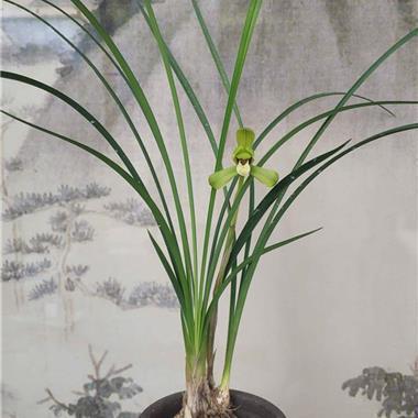 天气降温关心简短句子