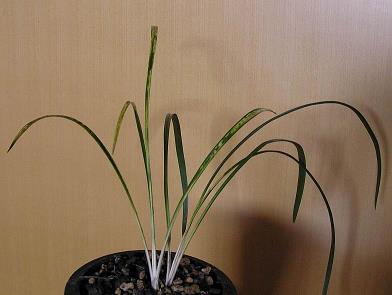 2021适合生日发的个性说说文案