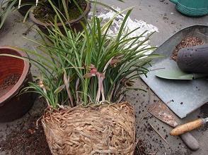 分手离别的伤感流泪的句子