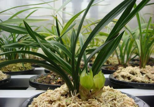 2020心情感悟的经典句子