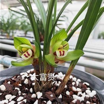 最新说说心情短语2021年