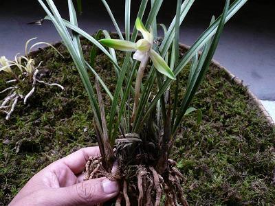 2021立秋唯美说说句子(精选73句)