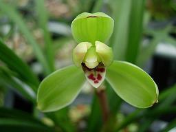 分手挽回句子84句