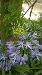 30岁成年人的生日文案(精选76句)