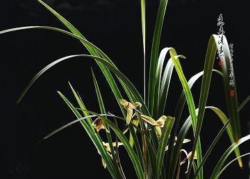 周末文案可爱句子 关于周末的文案