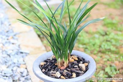 一个人必须努力的句子 一个人的说说励志的话