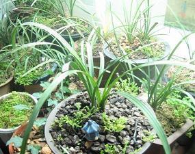 一句简短人生感悟 感悟人生的句子(精选81句)