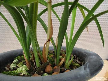 2021三八妇女节暧心祝福语说说73句