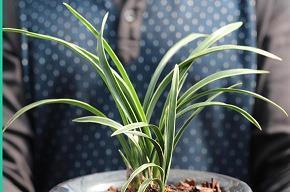 圈子决定格局经典语录(精选36句)