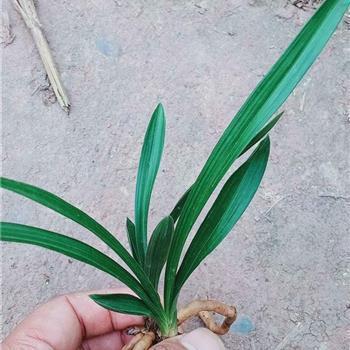 关于下雨天的经典搞笑说说汇编40句