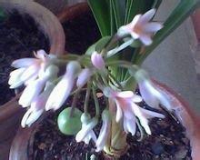 知道自己错了的心碎句子