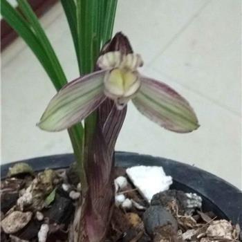 写给心累崩溃的自己 伤感的句子说说心情合集53句