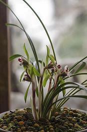 下雨天的心情经典句子适合发朋友圈