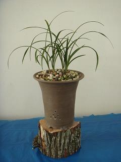 关于等待的伤心句子