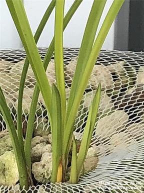 最唯美的伤感心情说说文艺范大全 文艺小青年专属的伤感说说