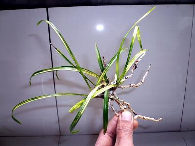 出去玩的心情发朋友圈句子