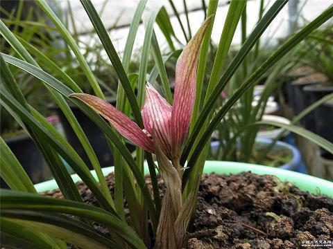 幸福感爆棚的微信经典句子15句