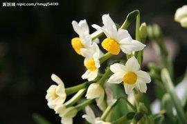 适合夏天发的说说 描写夏天天气热的句子摘抄26句