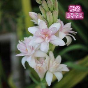 只有自己心疼自己的句子 一个人挺好的霸气说说伤感推荐37句