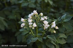 发朋友圈保持童心的句子