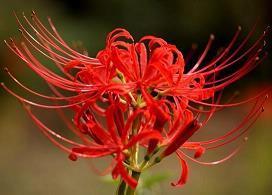 由开心到难过的句子