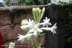 夸人漂亮的句子