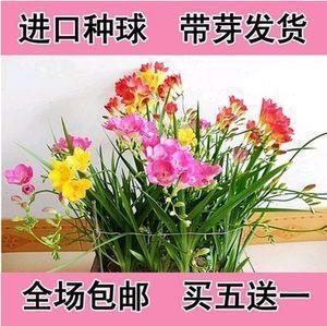 2021毕业的青春句子(精选77句)