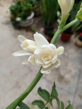 2021新年跨年祝福简单句子