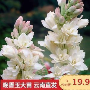 唯美古韵句子89句