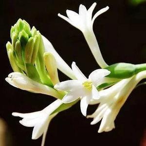 形容忧伤的句子说说心情(精选43句)