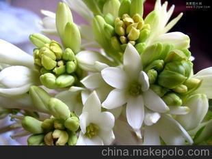 关于做饭的文案句子(精选27句)