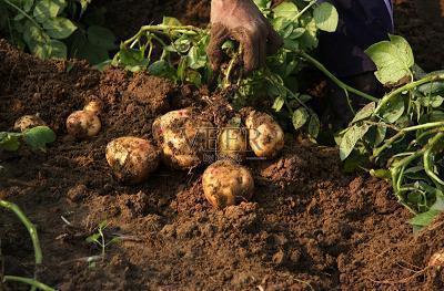 友情的句子短一点的 友情的句子唯美简短