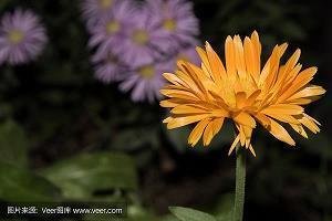 奋斗梦想的励志短句 青春奋斗梦想励志句子