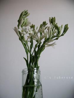 2021即将结束优美文案(精选112句)