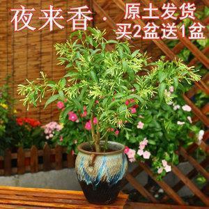 首饰盒广告宣传文案：江汉饰盒只为精致女人