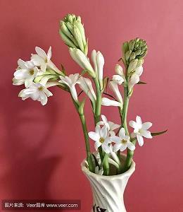 微信早安问候语正能量简单 暖人心汇总61句