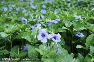 寂寞的句子说说心情短语(精选37句)