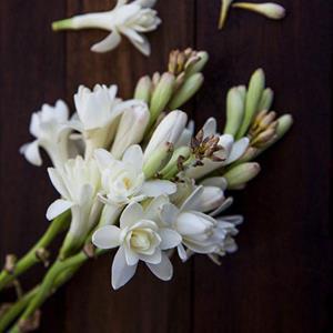 从现在开始走出伤感开心的句子