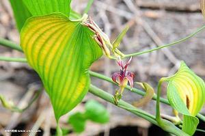 六一儿童节发朋友圈的句子 点赞率超高汇编55句