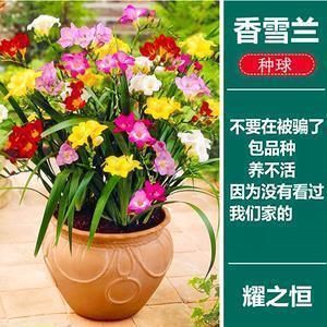 关于晚安的唯美句子