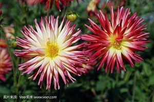 对一个男人失望到想分手的句子