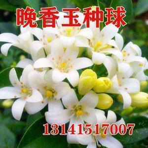 关于爱情伤感的哲理句子 有哲理的伤感句子