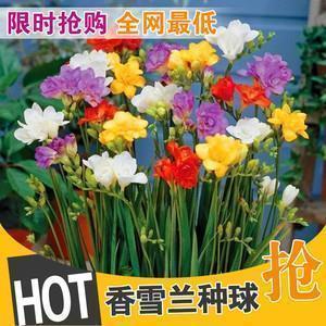 2021清明节祭英烈寄语留言精选79句