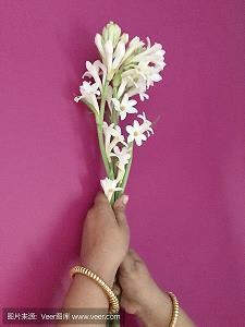 2020唯美励志的句子(84句)