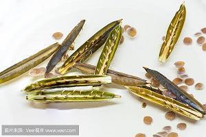 搞笑五个字的游戏网名